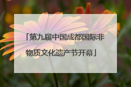 第九届中国成都国际非物质文化遗产节开幕